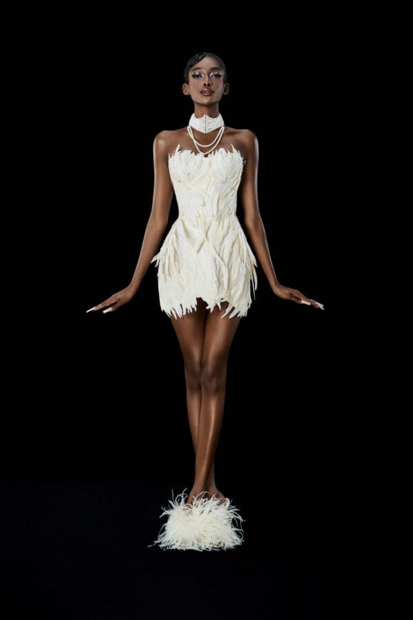 Swan Dress