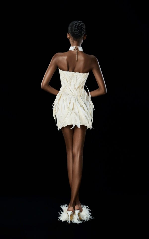 Swan Dress