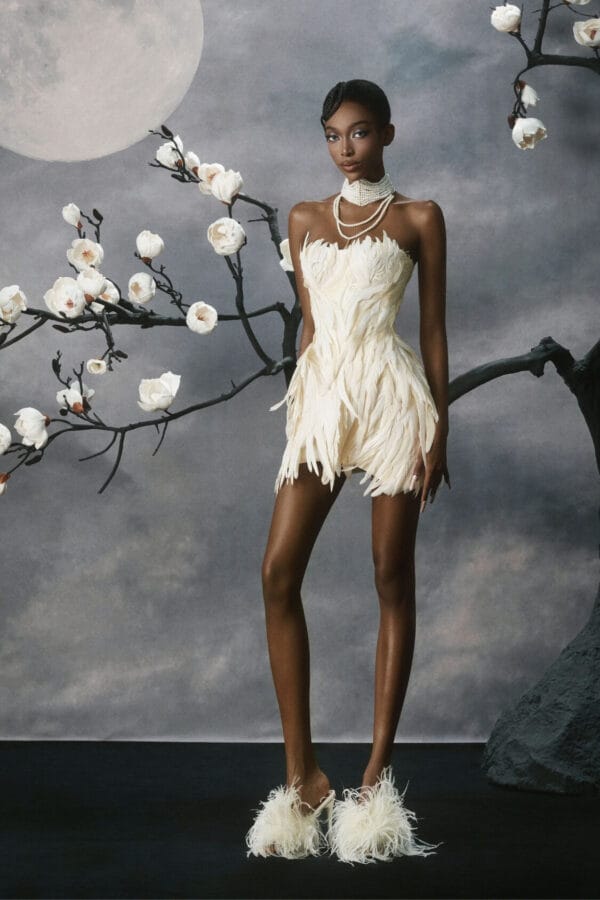 Swan Dress